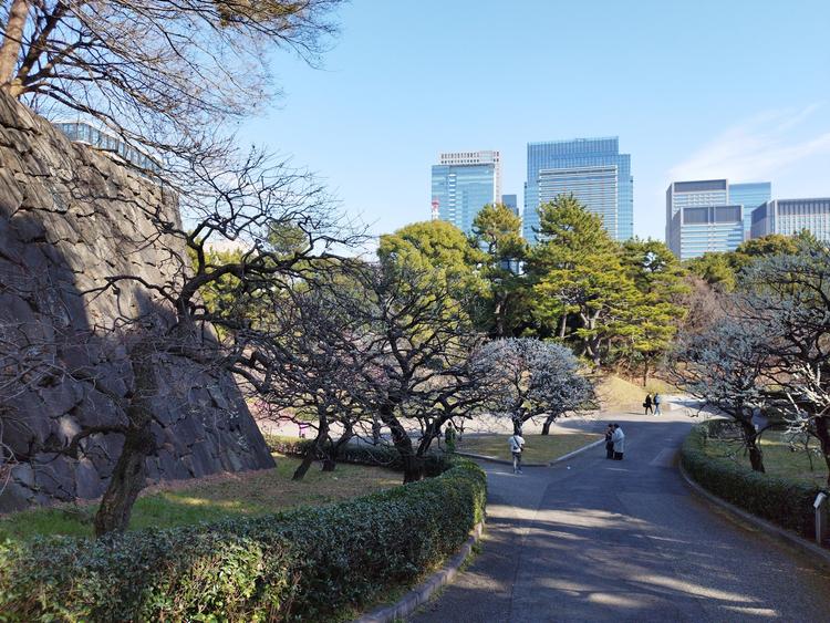 View of Imperial Palace East National Gardens