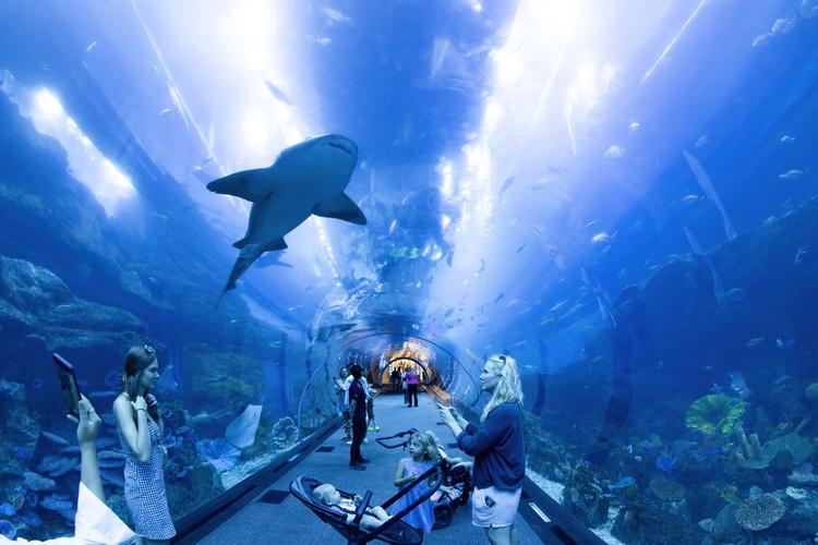 View of Dubai Aquarium & Underwater Zoo