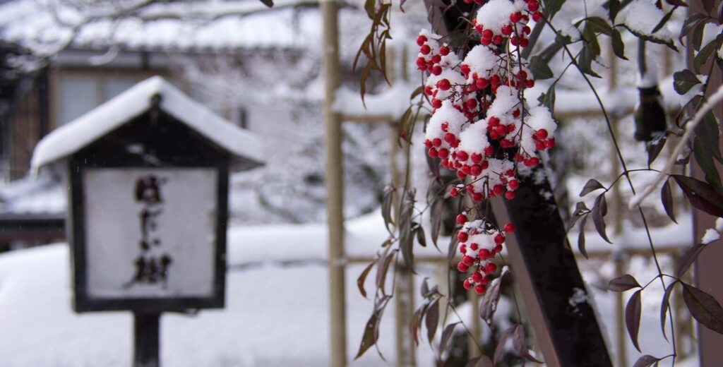 When's the best time to travel to Japan? Winter.