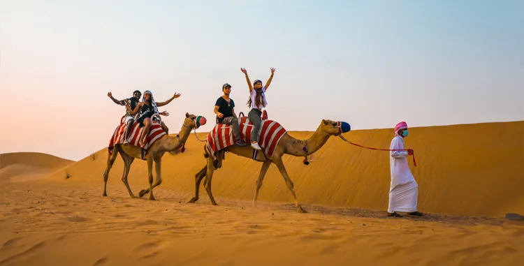 Best Desert Safaris and Where to Find Them

